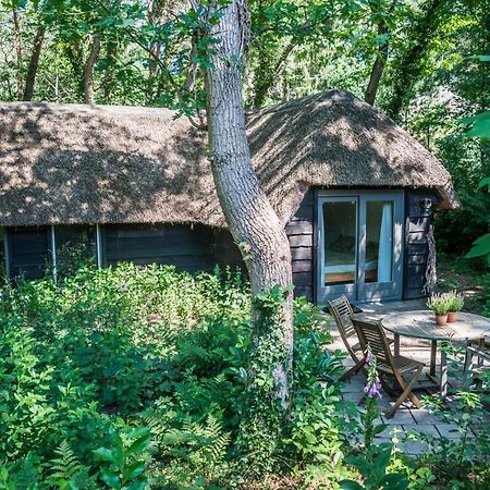 Aa Casia Vakantiehuis Zeegse ภายนอก รูปภาพ